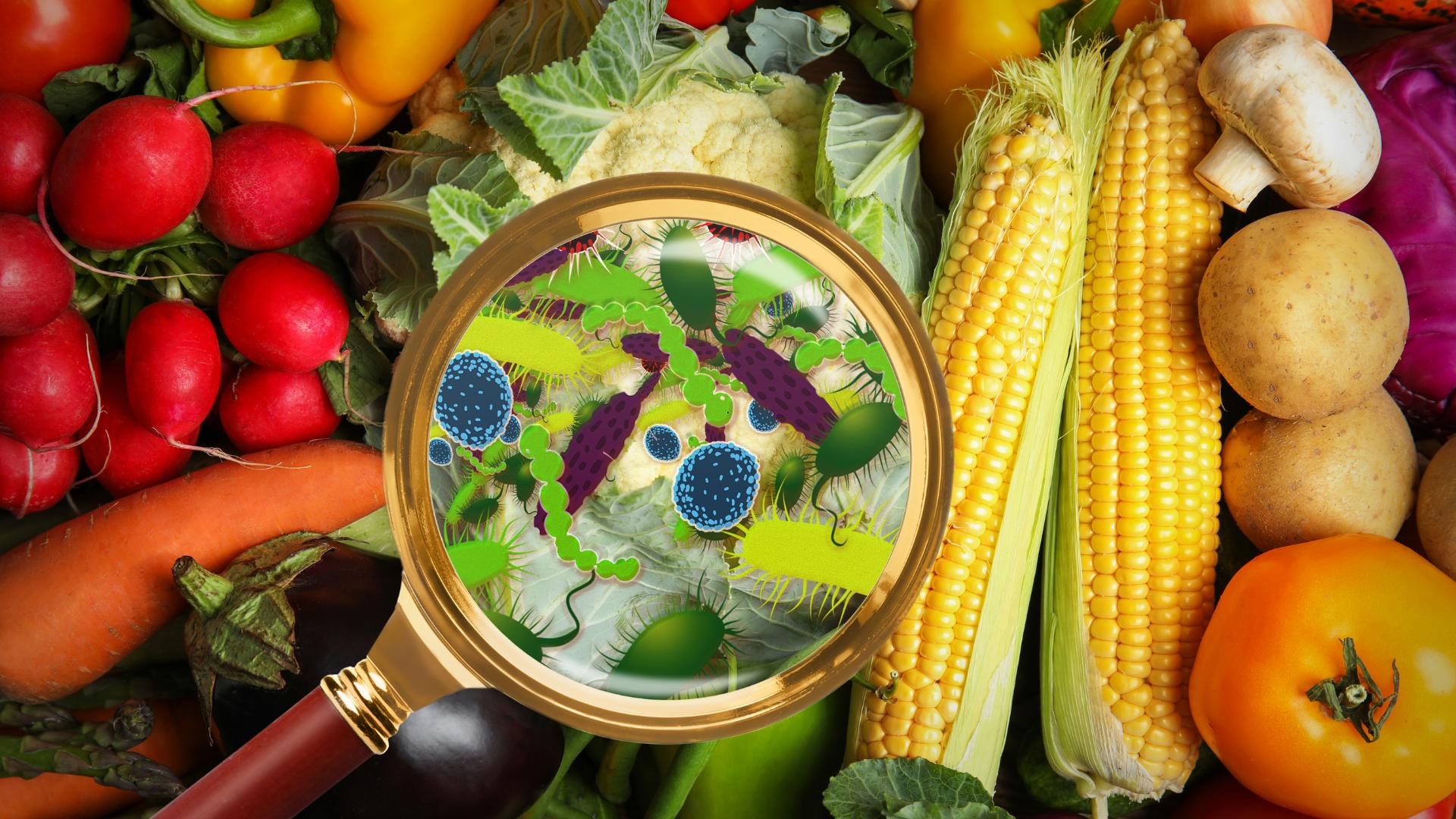 Intoxicación alimentaria